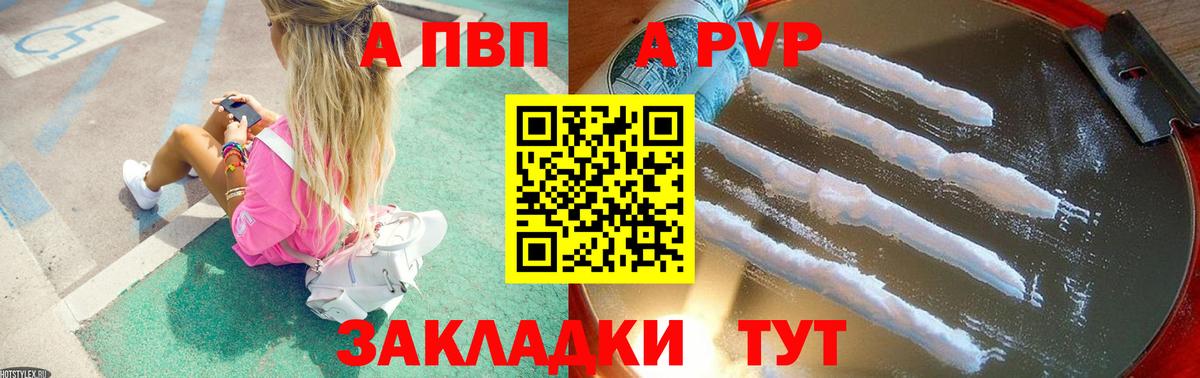 Альфа ПВП крисы CK Вышний Волочёк