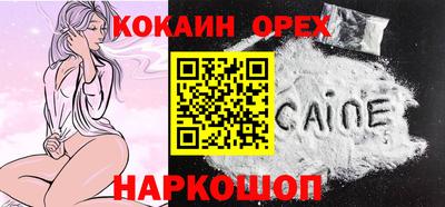 кокс Кандалакша