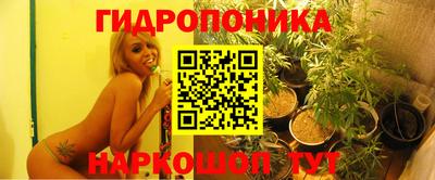 наркотики Кимры