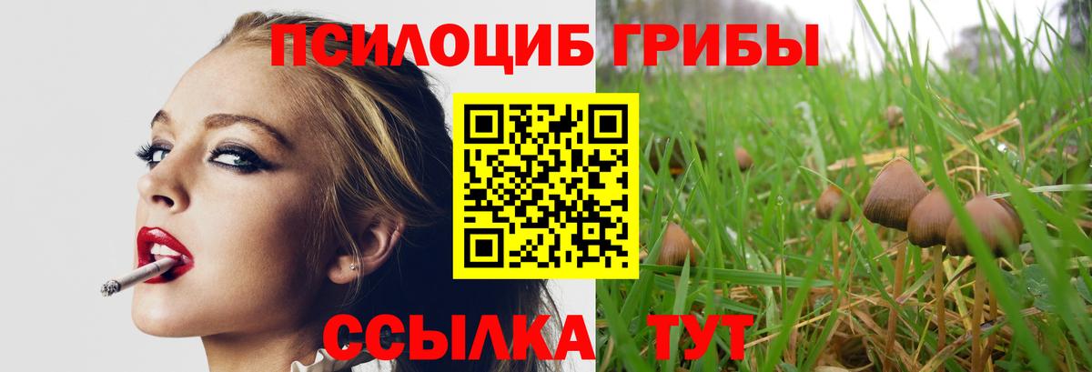 Галлюциногенные грибы мицелий Вышний Волочёк