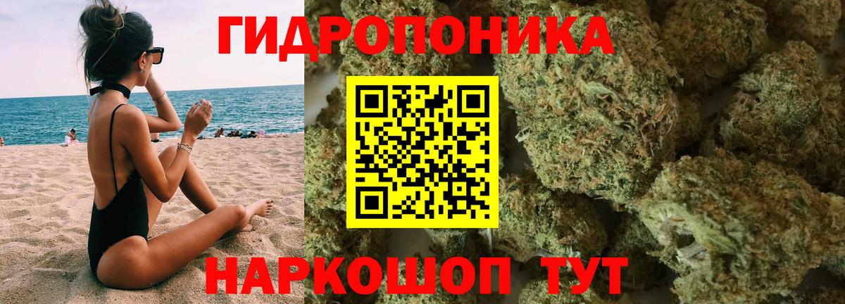 Бошки Шишки White Widow  Бошки марихуана Bruce Banner  Каннабис семена  Вход с VPN  Вышний Волочёк 